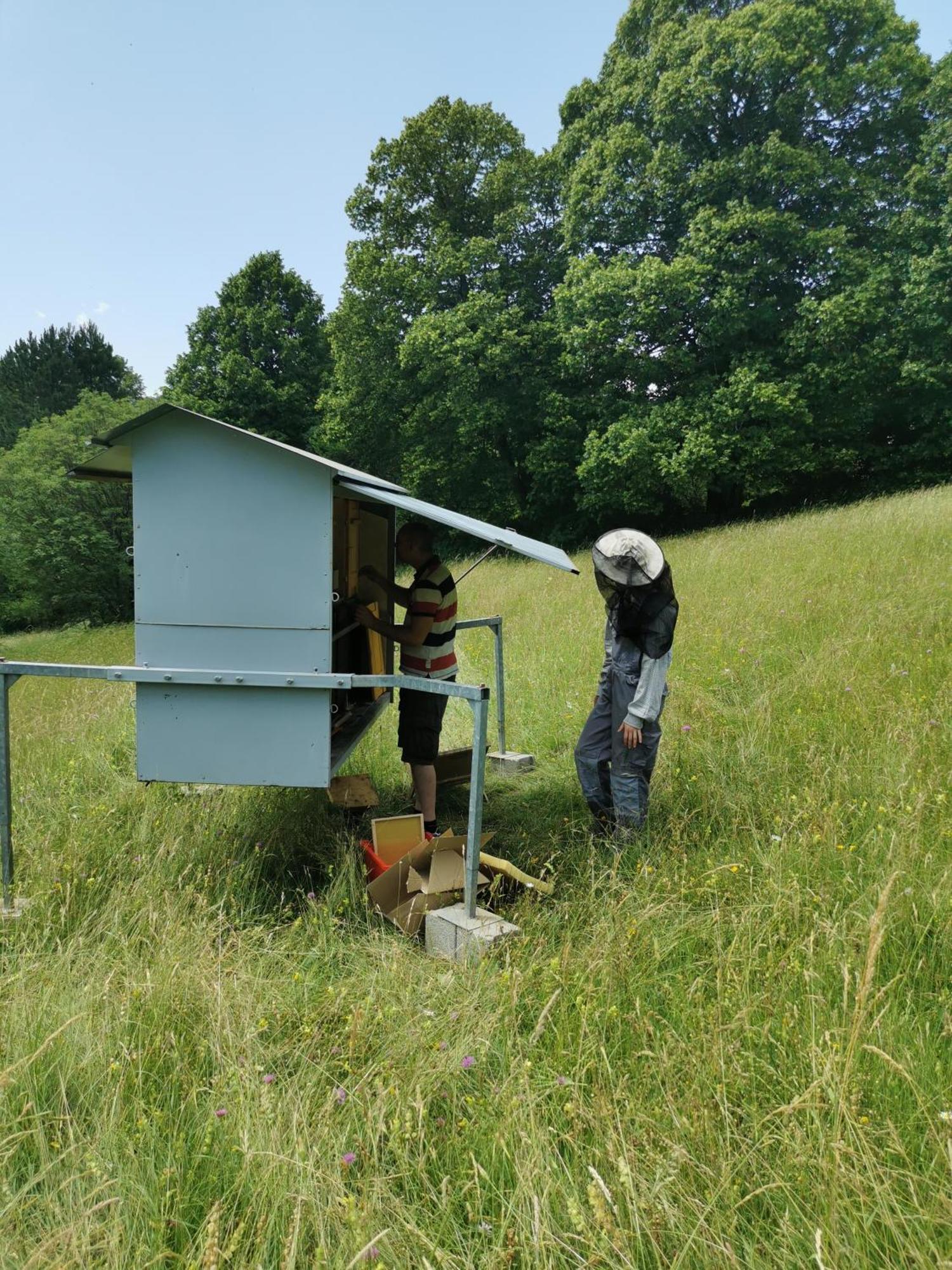 Farm Stay Pri Cepcovih Golac エクステリア 写真